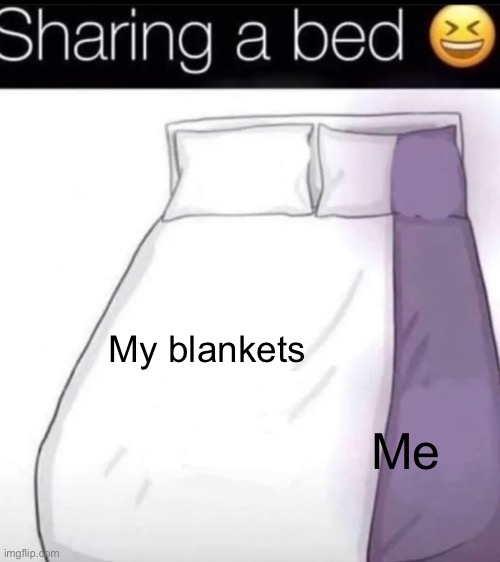 My blankets; Me | image tagged in sharing a bed | made w/ Imgflip meme maker