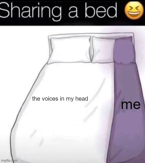 me; the voices in my head | image tagged in sharing a bed | made w/ Imgflip meme maker