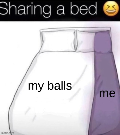 my balls; me | image tagged in sharing a bed | made w/ Imgflip meme maker