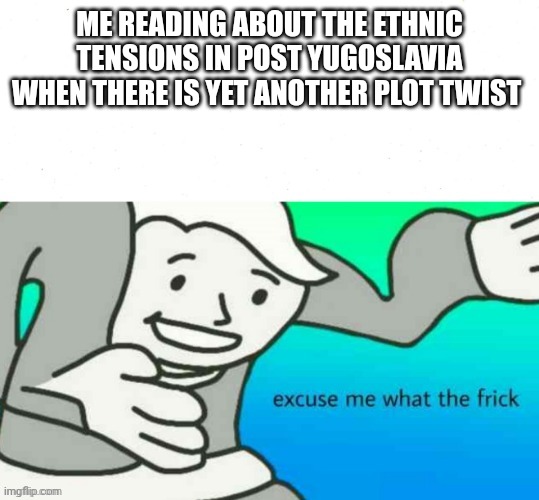 excuse me what the frick | ME READING ABOUT THE ETHNIC TENSIONS IN POST YUGOSLAVIA WHEN THERE IS YET ANOTHER PLOT TWIST | image tagged in excuse me what the frick | made w/ Imgflip meme maker