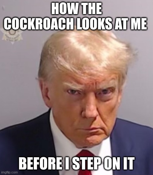 I hate cockroaches | HOW THE COCKROACH LOOKS AT ME; BEFORE I STEP ON IT | image tagged in donald trump mugshot,cockroach,funny,memes,bugs | made w/ Imgflip meme maker