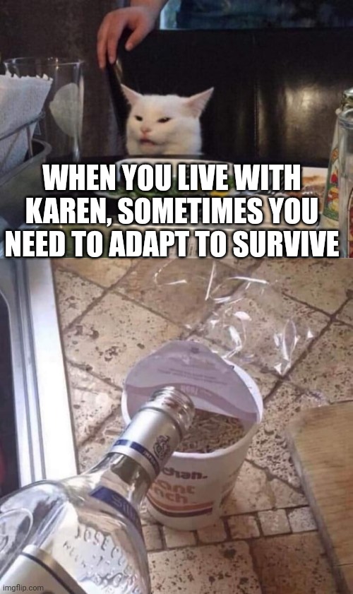 WHEN YOU LIVE WITH KAREN, SOMETIMES YOU NEED TO ADAPT TO SURVIVE | image tagged in smudge that darn cat | made w/ Imgflip meme maker