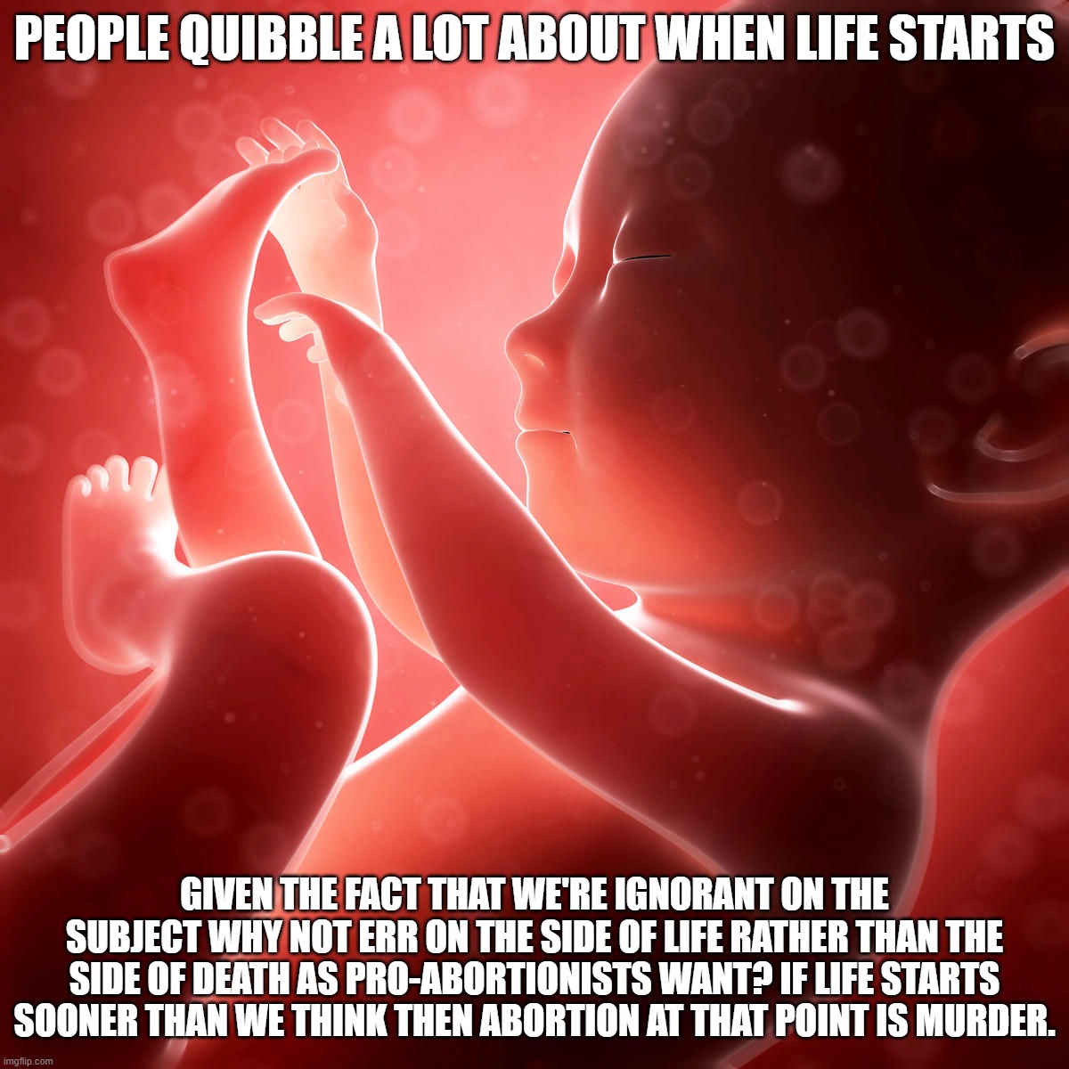 You Should Err On The Side of Life | PEOPLE QUIBBLE A LOT ABOUT WHEN LIFE STARTS; GIVEN THE FACT THAT WE'RE IGNORANT ON THE SUBJECT WHY NOT ERR ON THE SIDE OF LIFE RATHER THAN THE SIDE OF DEATH AS PRO-ABORTIONISTS WANT? IF LIFE STARTS SOONER THAN WE THINK THEN ABORTION AT THAT POINT IS MURDER. | image tagged in baby fetus,abortion,murder,life | made w/ Imgflip meme maker
