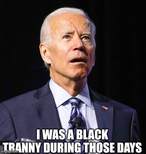 Joe Biden | I WAS A BLACK TRANNY DURING THOSE DAYS | image tagged in joe biden | made w/ Imgflip meme maker