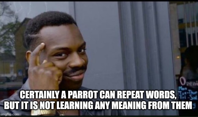 Thinking Black Man | CERTAINLY A PARROT CAN REPEAT WORDS,  BUT IT IS NOT LEARNING ANY MEANING FROM THEM | image tagged in thinking black man | made w/ Imgflip meme maker