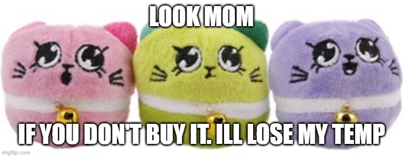 Look mom | LOOK MOM; IF YOU DON'T BUY IT. ILL LOSE MY TEMP | image tagged in cat toys | made w/ Imgflip meme maker