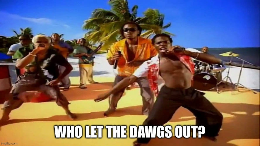 Who let the dogs out  | WHO LET THE DAWGS OUT? | image tagged in who let the dogs out | made w/ Imgflip meme maker