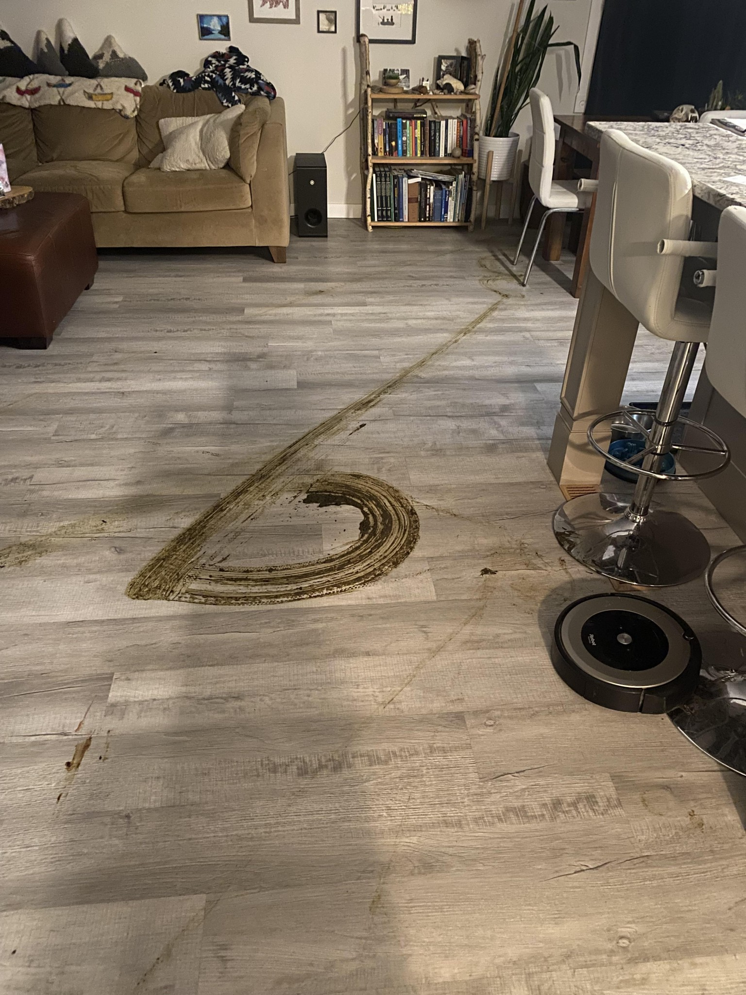 Roomba smearing poop Blank Meme Template