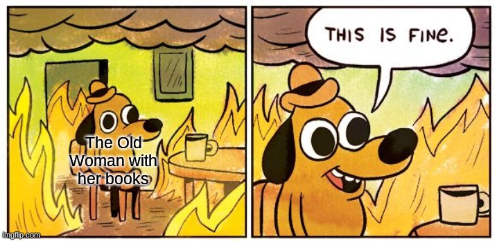Fahrenheit 451 | The Old Woman with her books | image tagged in memes,this is fine,funny memes | made w/ Imgflip meme maker