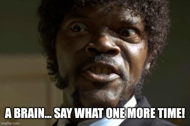 Pulp Fiction - Jules | A BRAIN... SAY WHAT ONE MORE TIME! | image tagged in pulp fiction - jules | made w/ Imgflip meme maker