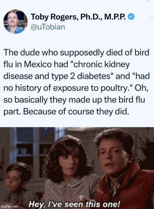 Brace yourself for more fearmongering... | image tagged in hey i've seen this one,bird flu | made w/ Imgflip meme maker