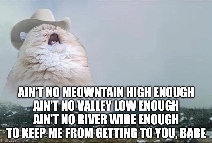 Ain't no meowntain high enough | AIN'T NO MEOWNTAIN HIGH ENOUGH
AIN'T NO VALLEY LOW ENOUGH
AIN'T NO RIVER WIDE ENOUGH
TO KEEP ME FROM GETTING TO YOU, BABE | image tagged in screaming cowboy cat,cats,cat,cat memes,ain't no mountain high enough,marvin gaye | made w/ Imgflip meme maker