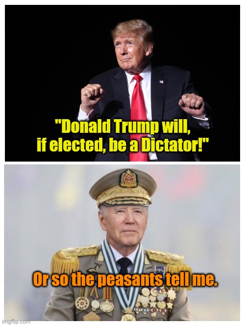 Projectionist Extraordinaré. | "Donald Trump will, if elected, be a Dictator!"; Or so the peasants tell me. | made w/ Imgflip meme maker