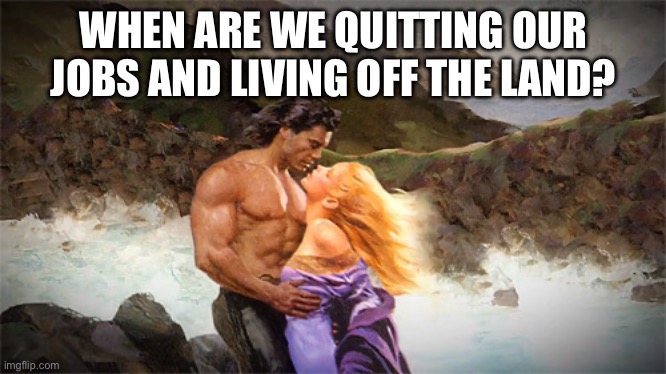 Harlequin Homesteader | WHEN ARE WE QUITTING OUR JOBS AND LIVING OFF THE LAND? | image tagged in romance | made w/ Imgflip meme maker