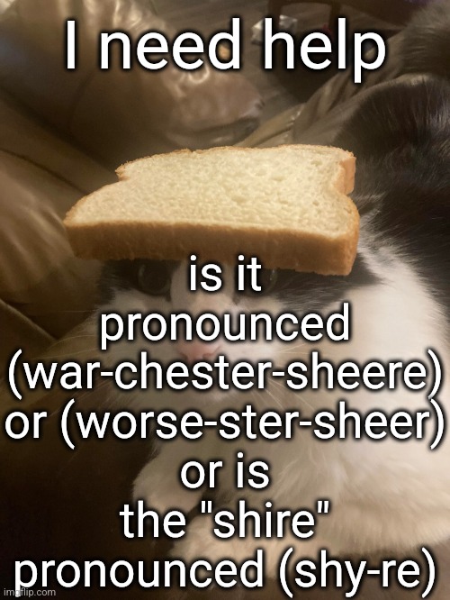 h | I need help; is it pronounced (war-chester-sheere) or (worse-ster-sheer) or is the "shire" pronounced (shy-re) | image tagged in bread cat | made w/ Imgflip meme maker