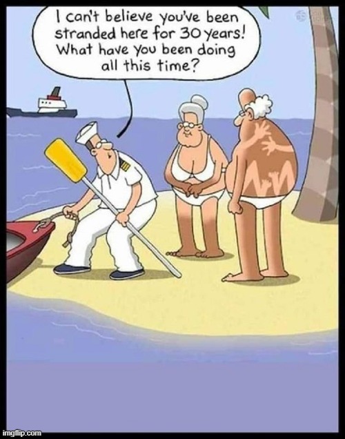 "Fishing,swimming... can you think of anything else, dear?" | image tagged in vince vance,deserted island,desert island,cartoon,marooned,rescued | made w/ Imgflip meme maker