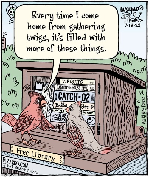 Cardinals are Red, Well Read! | image tagged in vince vance,books,birdhouse,cartoon,birds,nesting | made w/ Imgflip meme maker