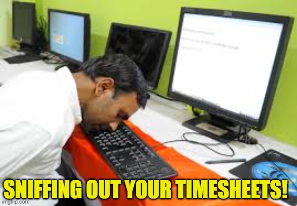 Sniffing out Timesheets | SNIFFING OUT YOUR TIMESHEETS! | image tagged in sniffing out timesheets,timesheet reminder,timesheet meme,memes,vinod kumar chaudhary | made w/ Imgflip meme maker