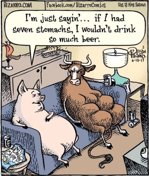 Look Who's Talking! | image tagged in vince vance,pig,bull,cows,drinking,cartoon | made w/ Imgflip meme maker