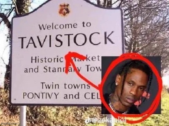 tavistock | made w/ Imgflip meme maker