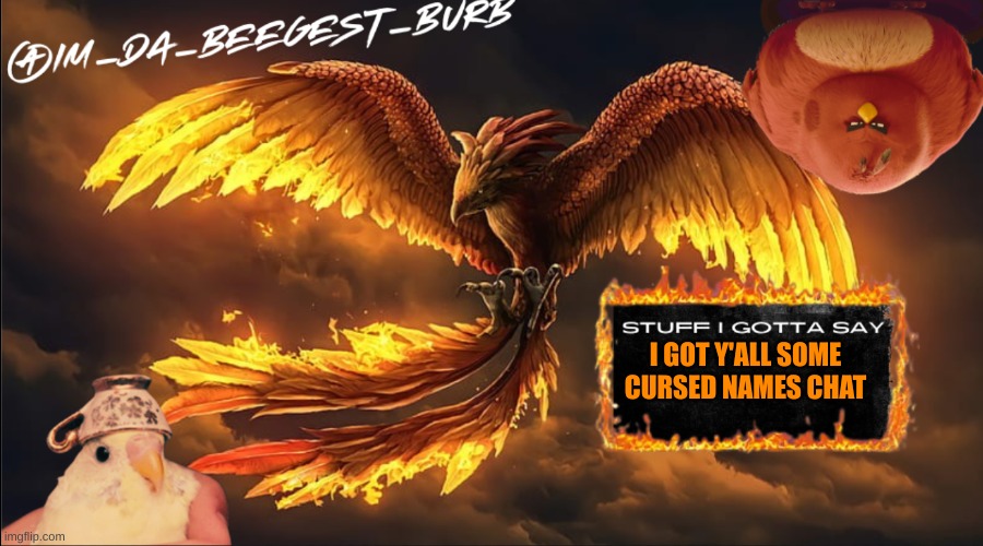 IM_DA_BEEGEST_BURD's announcement temp | I GOT Y'ALL SOME CURSED NAMES CHAT | image tagged in im_da_beegest_burd's announcement temp | made w/ Imgflip meme maker