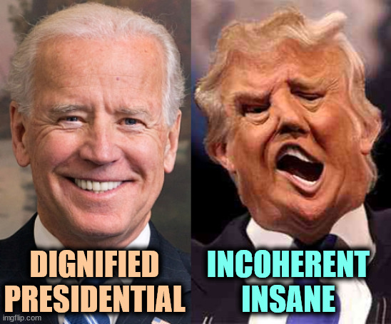 Biden old. Convicted felon Trump old and insane | DIGNIFIED
PRESIDENTIAL; INCOHERENT
INSANE | image tagged in biden solid stable trump acid drugs,biden,dignified,presidential,trump,insane | made w/ Imgflip meme maker