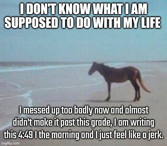 Man Horse Water | I DON'T KNOW WHAT I AM SUPPOSED TO DO WITH MY LIFE; I messed up too badly now and almost didn't make it past this grade, I am writing this 4:49 I the morning and I just feel like a jerk. | image tagged in man horse water | made w/ Imgflip meme maker