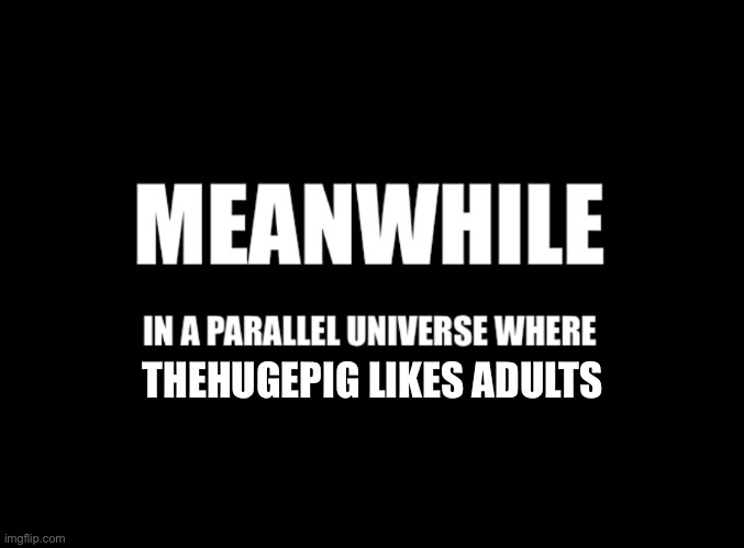 Meanwhile in a parallel universe | THEHUGEPIG LIKES ADULTS | image tagged in meanwhile in a parallel universe | made w/ Imgflip meme maker