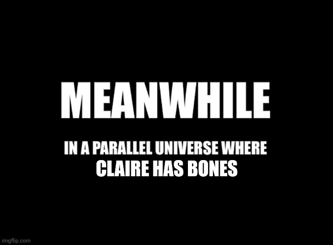 Meanwhile in a parallel universe | CLAIRE HAS BONES | image tagged in meanwhile in a parallel universe | made w/ Imgflip meme maker