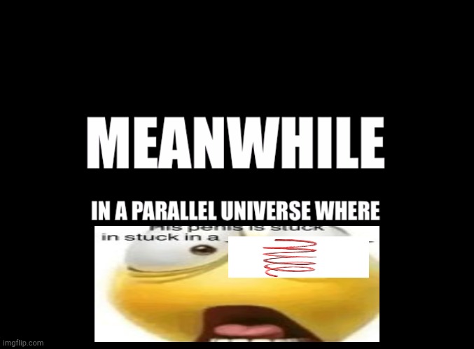 Meanwhile in a parallel universe | image tagged in meanwhile in a parallel universe | made w/ Imgflip meme maker