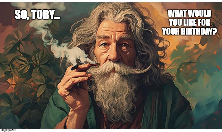 Gandalf contemplates Toby's birthday. | WHAT WOULD YOU LIKE FOR YOUR BIRTHDAY? SO, TOBY... | image tagged in gandalf,birthday,happy birthday,toby | made w/ Imgflip meme maker