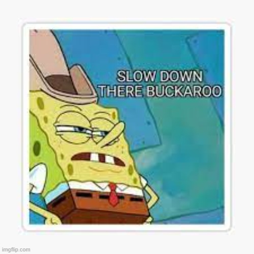 slow down buckaroo | image tagged in slow down buckaroo | made w/ Imgflip meme maker