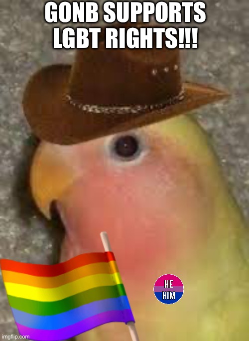 Gaynb | GONB SUPPORTS LGBT RIGHTS!!! | image tagged in gonb | made w/ Imgflip meme maker