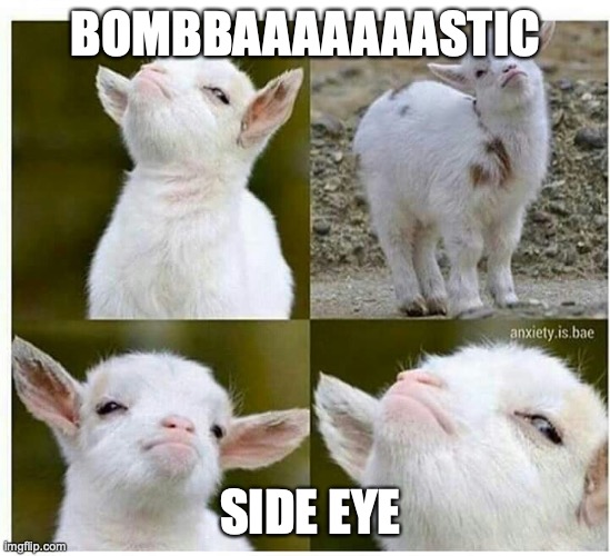 Proud lamb | BOMBBAAAAAAASTIC; SIDE EYE | image tagged in proud lamb | made w/ Imgflip meme maker