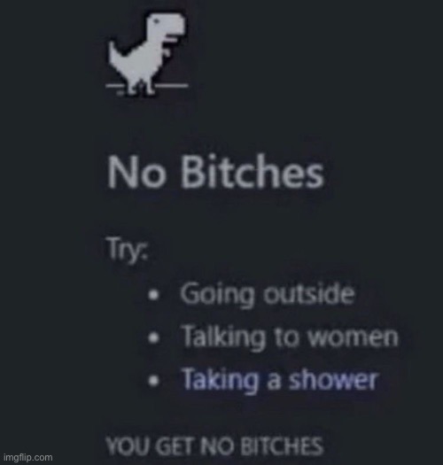 you get no bitches | image tagged in you get no bitches | made w/ Imgflip meme maker
