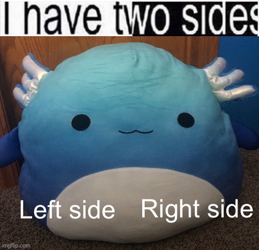 real | Right side; Left side | made w/ Imgflip meme maker