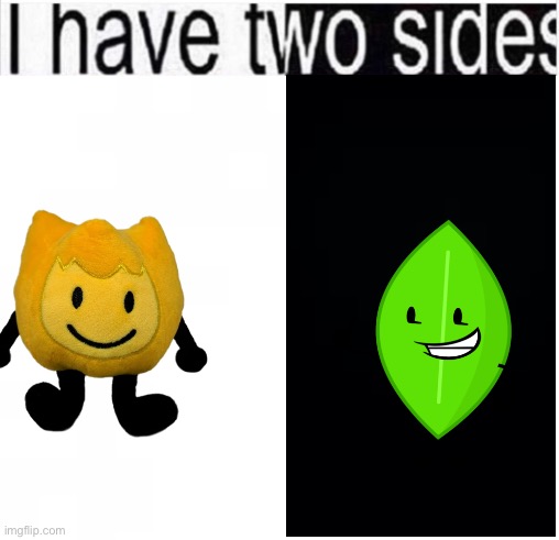 i have two sides | image tagged in i have two sides | made w/ Imgflip meme maker