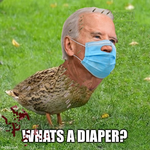 Papa Duck | WHATS A DIAPER? | image tagged in joe bidenduck | made w/ Imgflip meme maker