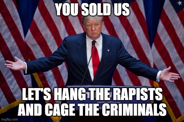 Donald Trump | YOU SOLD US LET'S HANG THE RAPISTS
AND CAGE THE CRIMINALS | image tagged in donald trump | made w/ Imgflip meme maker