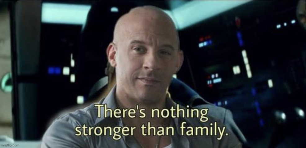 Nothing is stronger than family | image tagged in nothing is stronger than family | made w/ Imgflip meme maker
