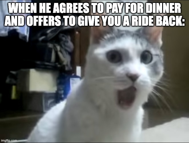 WHEN HE AGREES TO PAY FOR DINNER AND OFFERS TO GIVE YOU A RIDE BACK: | image tagged in dinner,cat,nyanya,funny,dating,men | made w/ Imgflip meme maker