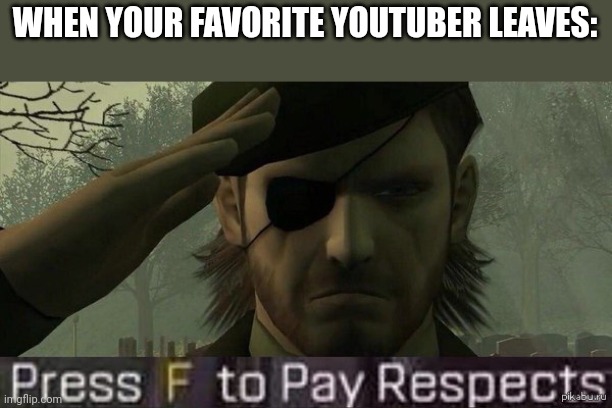 snake press f to pay respects | WHEN YOUR FAVORITE YOUTUBER LEAVES: | image tagged in snake press f to pay respects | made w/ Imgflip meme maker