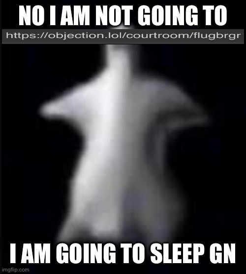 NO I AM NOT GOING TO; I AM GOING TO SLEEP GN | made w/ Imgflip meme maker