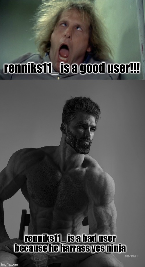 renniks11_ is a good user!!! renniks11_ is a bad user because he harrass yes ninja | image tagged in memes,scary harry,giga chad | made w/ Imgflip meme maker