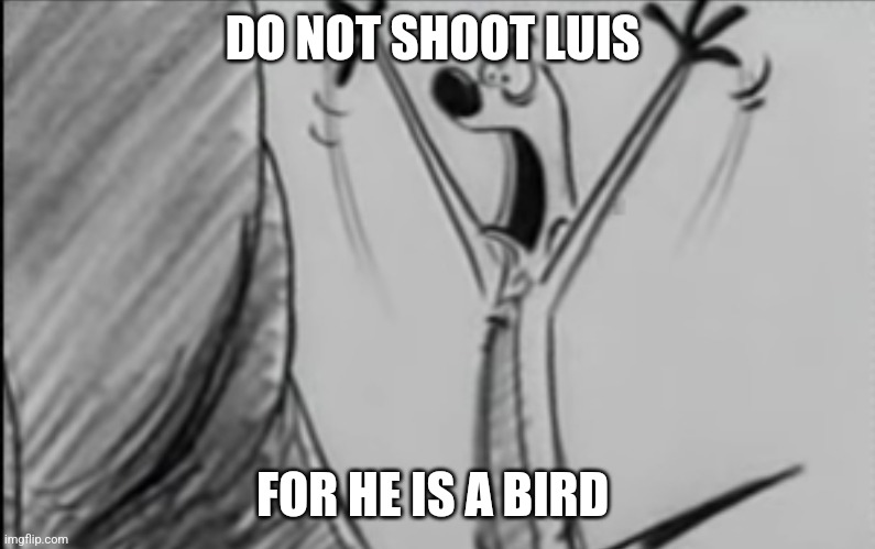 Everything's Ruined | DO NOT SHOOT LUIS; FOR HE IS A BIRD | image tagged in everything's ruined | made w/ Imgflip meme maker