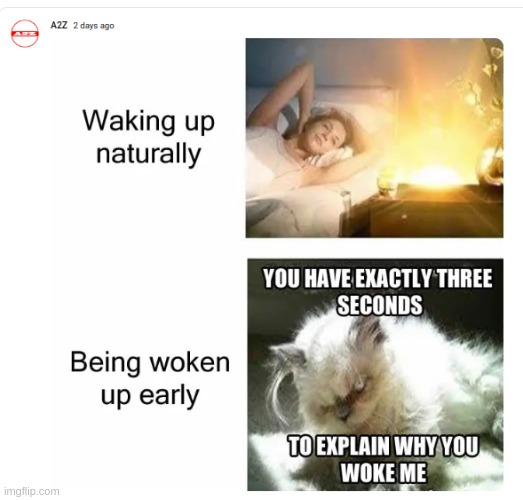 Waking up naturally is great! | image tagged in waking up brain,fun,memes | made w/ Imgflip meme maker