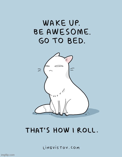 image tagged in memes,comics/cartoons,cats,wake up,awesomeness,this is my life | made w/ Imgflip meme maker