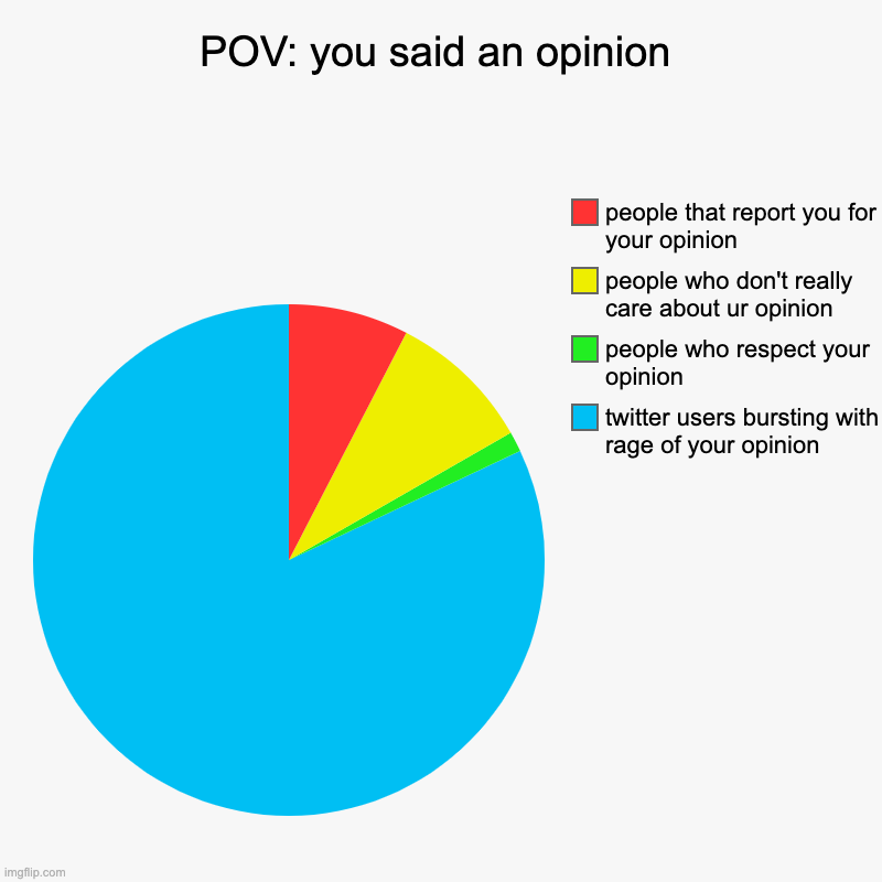 POV: you said an opinion | POV: you said an opinion | twitter users bursting with rage of your opinion, people who respect your opinion, people who don't really care a | image tagged in charts,pie charts | made w/ Imgflip chart maker
