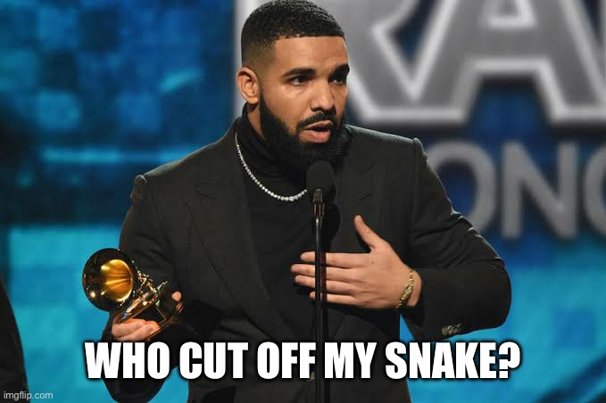 Drake accepting award | WHO CUT OFF MY SNAKE? | image tagged in drake accepting award | made w/ Imgflip meme maker