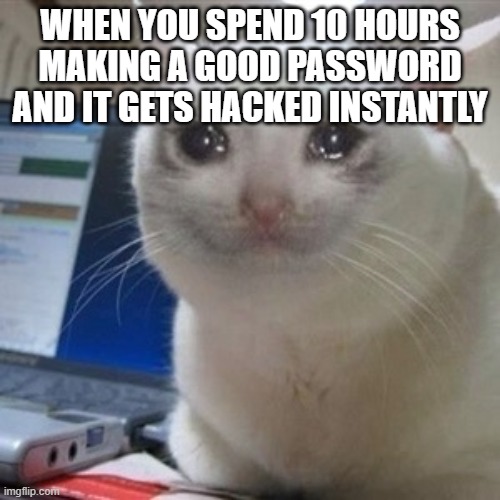 Crying cat | WHEN YOU SPEND 10 HOURS MAKING A GOOD PASSWORD AND IT GETS HACKED INSTANTLY | image tagged in crying cat | made w/ Imgflip meme maker